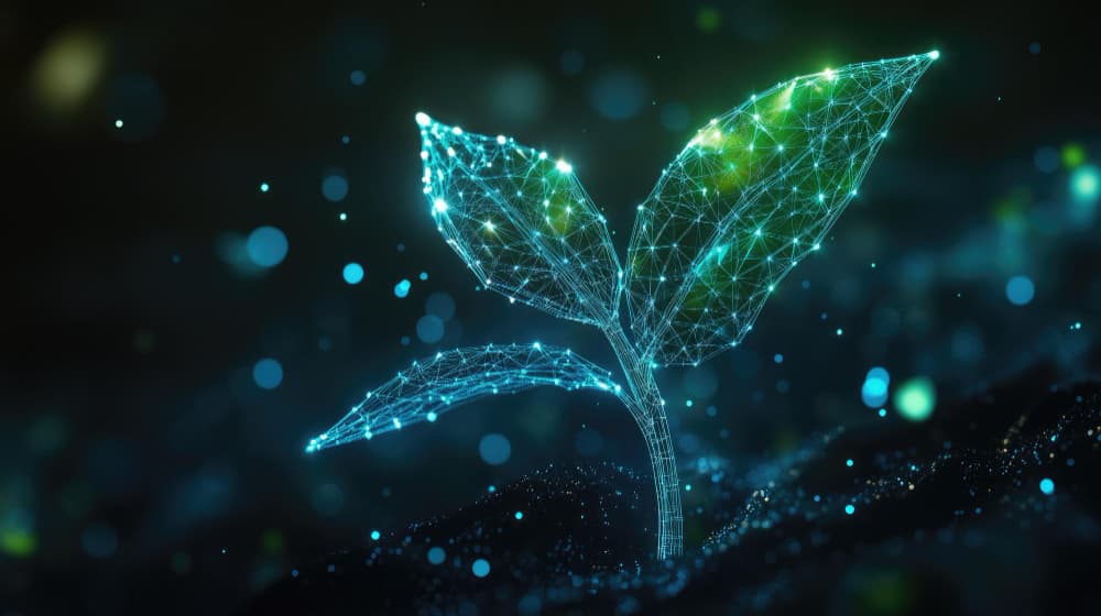 AI & Machine Learning